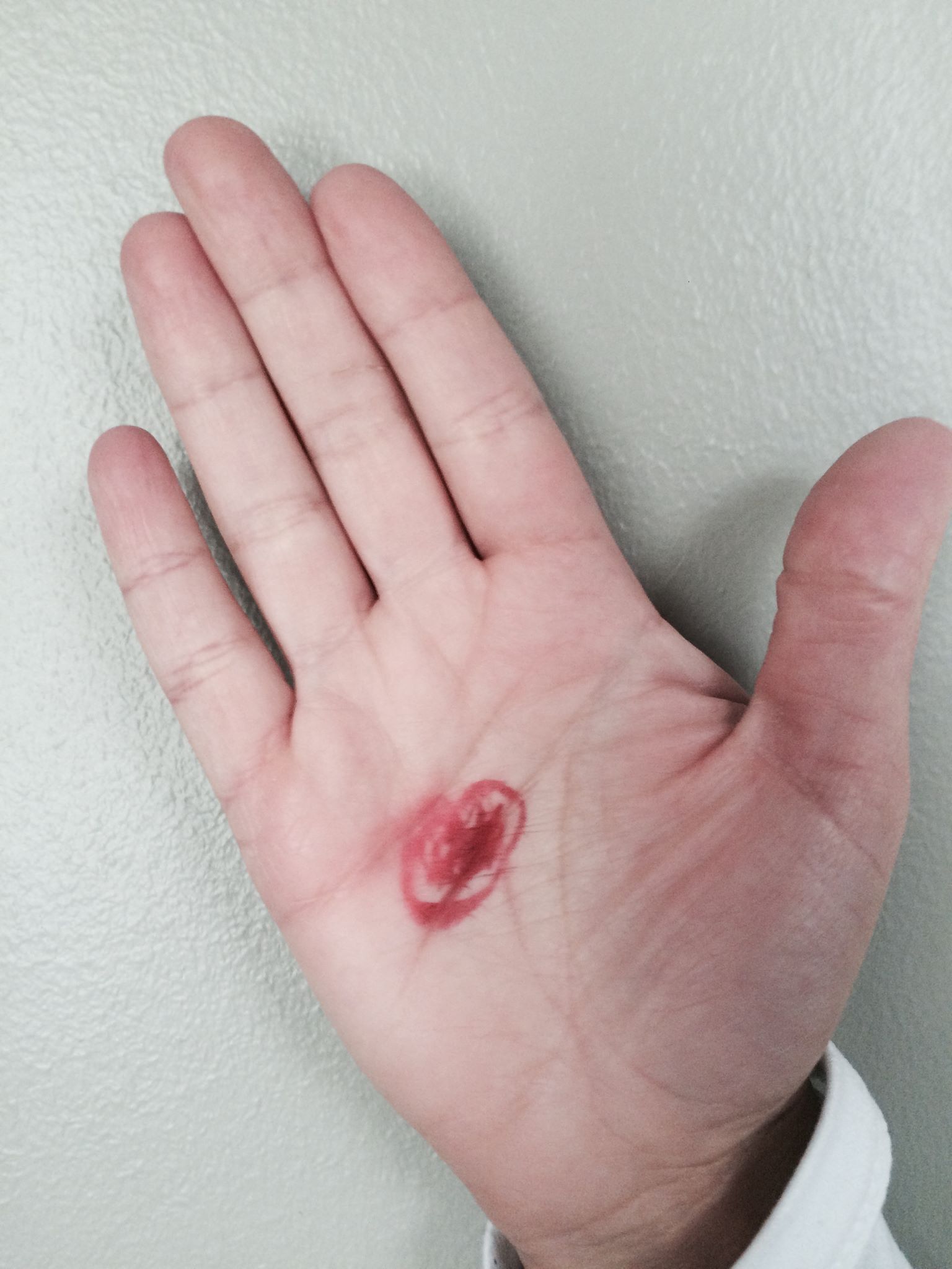 13147454_10153772555494633_8320317755486686480_o