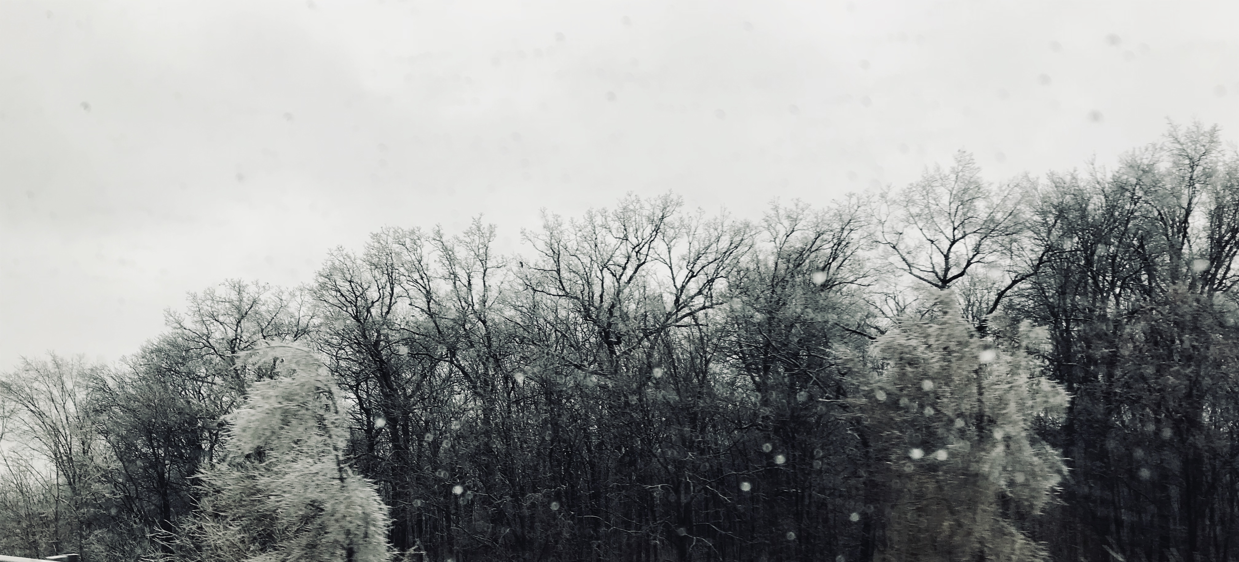 7CD2E7E8-AEF9-4DA9-9ABD-141507C50F9B