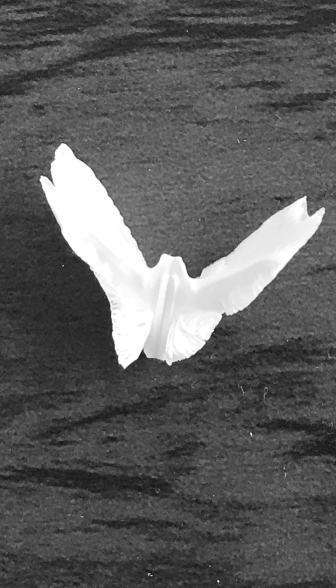 DF127244-1162-4852-ABEB-232B810CE65D