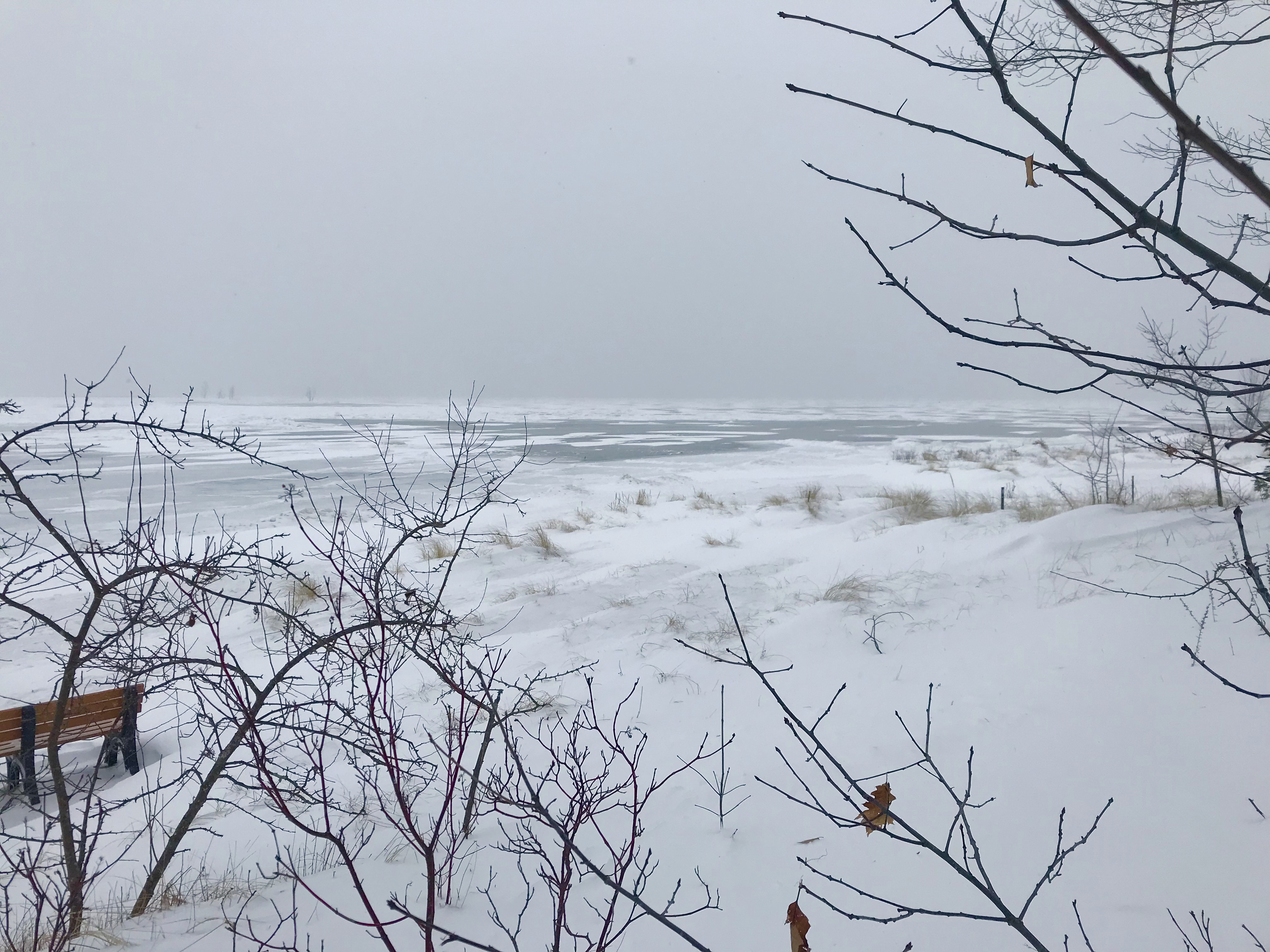 3A03A5F5-7F37-41F4-B7C8-073DFB8EA448