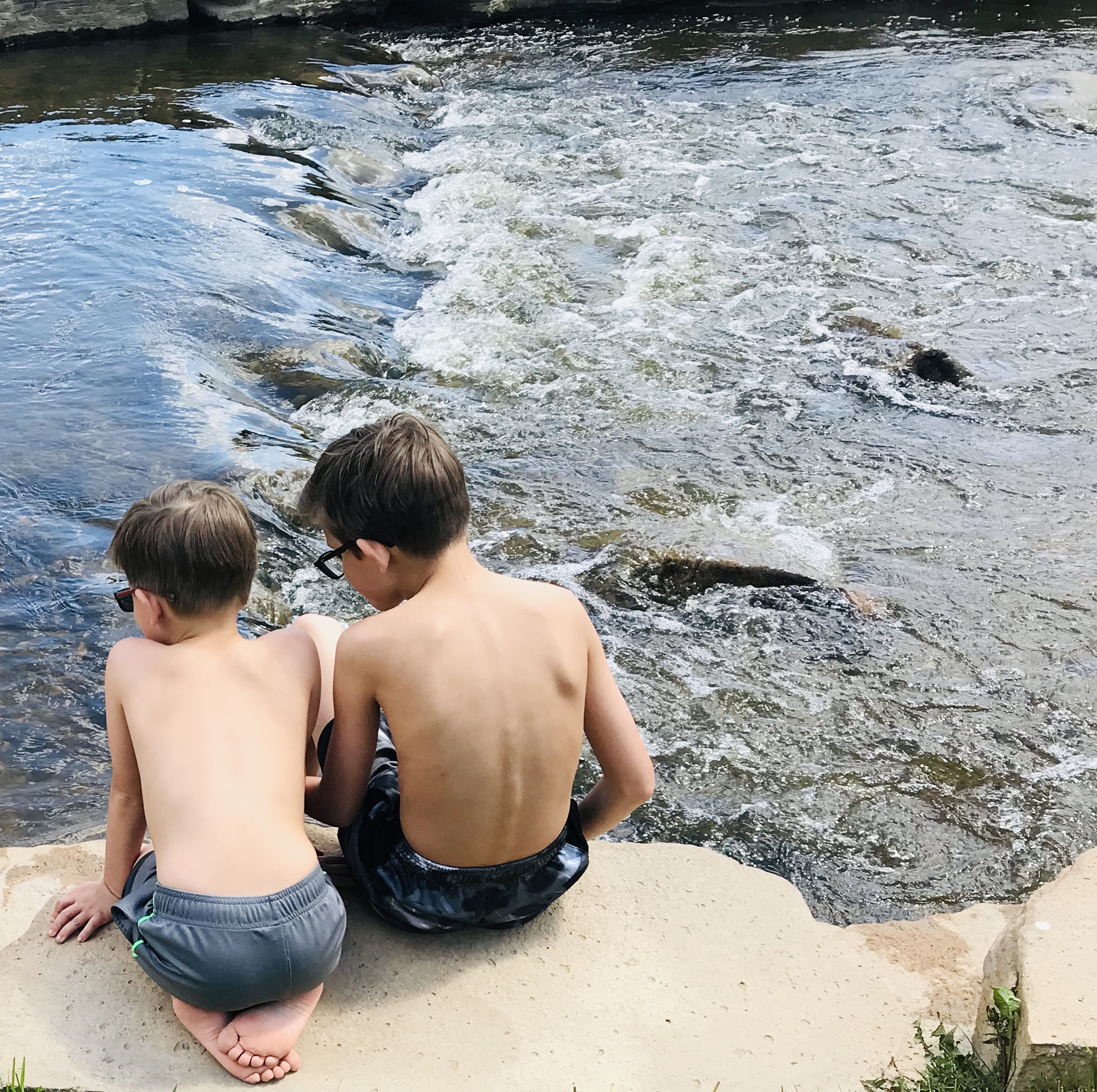 7FF56D04-F18B-451E-B12B-4D50C465B1C0