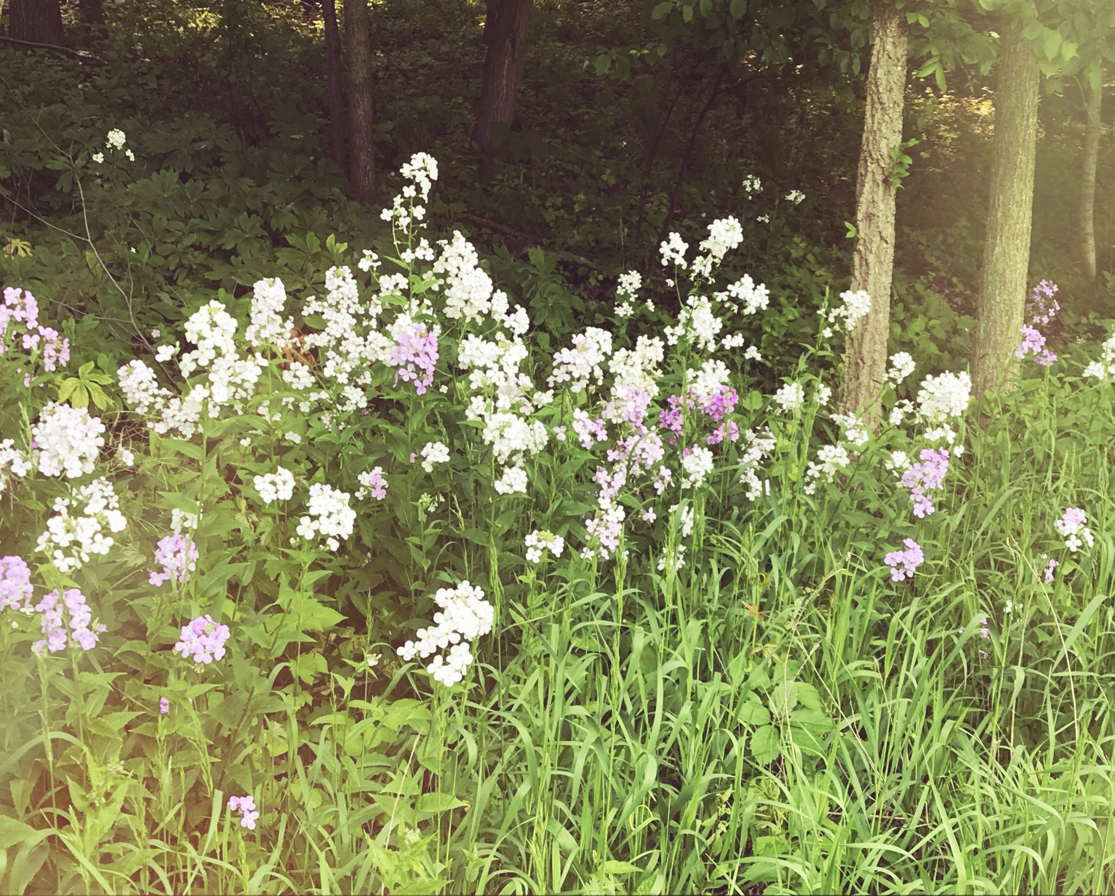 01C9F296-E02C-4EB4-A1F5-7BEE6199CB66