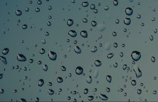 B2C36697-57F3-4B80-8C03-A61CA14B60F2